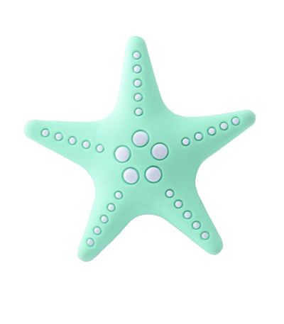 جیبیتز طرح ستاره دریایی رنگی، مناسب برای تزئین کفش کراکس و کیف‌های تابستانی